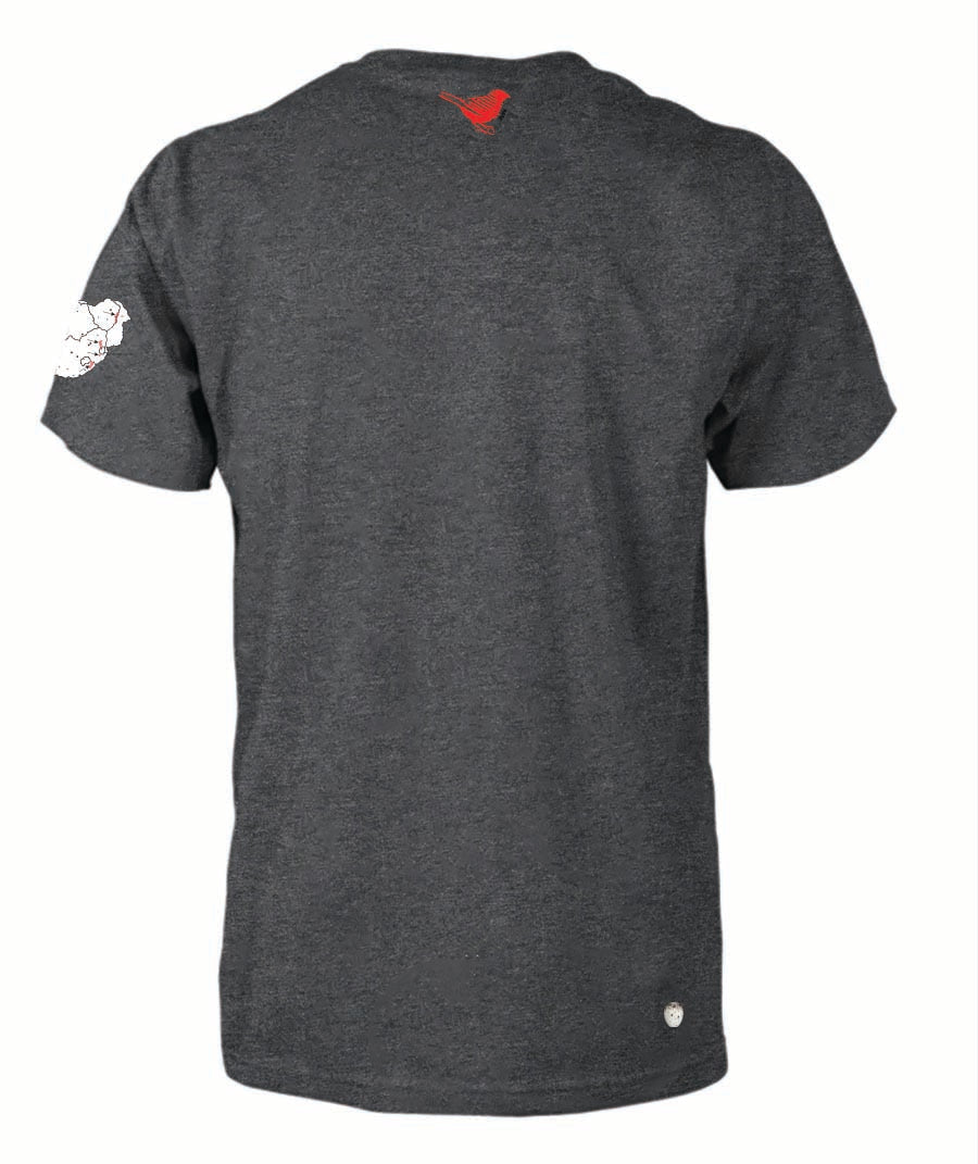 Blue Swallow Mens Shirt