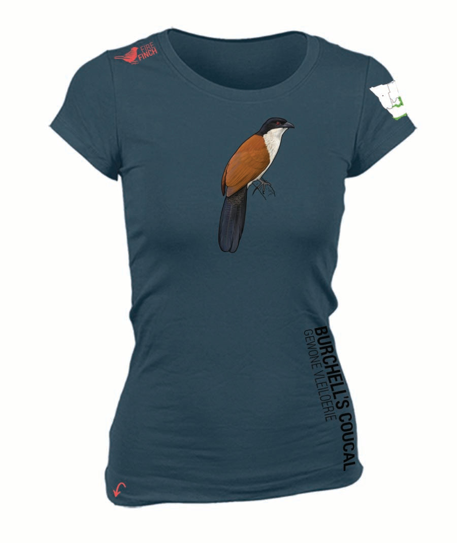 Burchell's Coucal Ladies Shirt