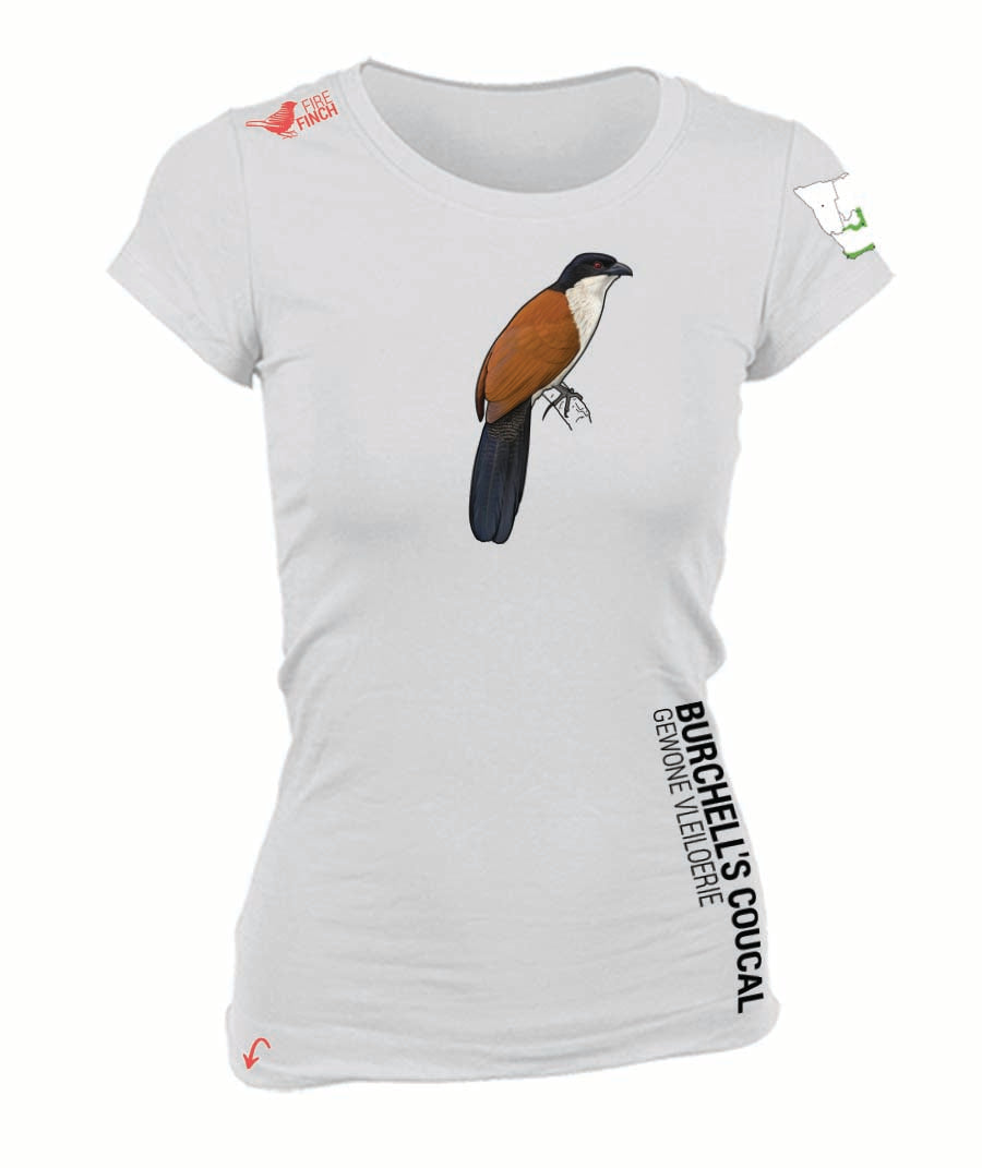 Burchell's Coucal Ladies Shirt