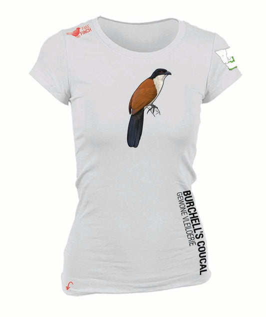 Burchell's Coucal Ladies Shirt