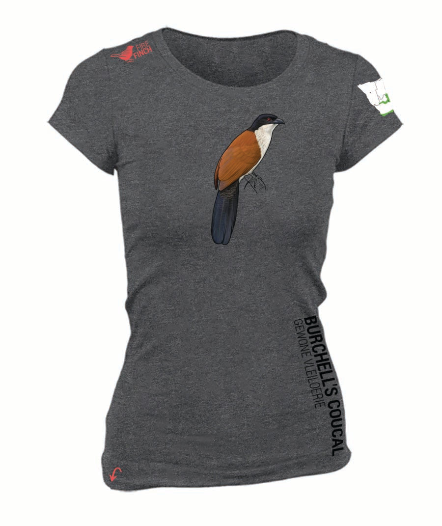 Burchell's Coucal Ladies Shirt
