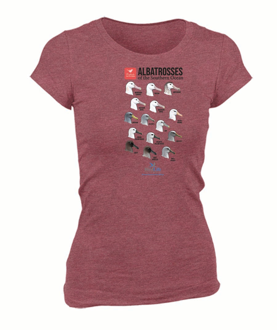 Marion Albatrosses Ladies Shirt