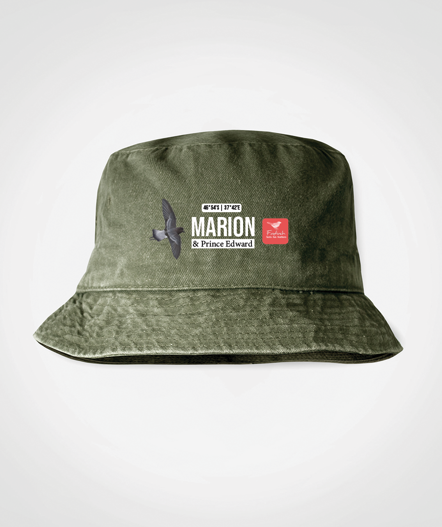 Marion Grey-Backed Storm Petrel Bucket Hat