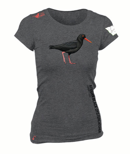 African Oystercatcher Ladies Shirt