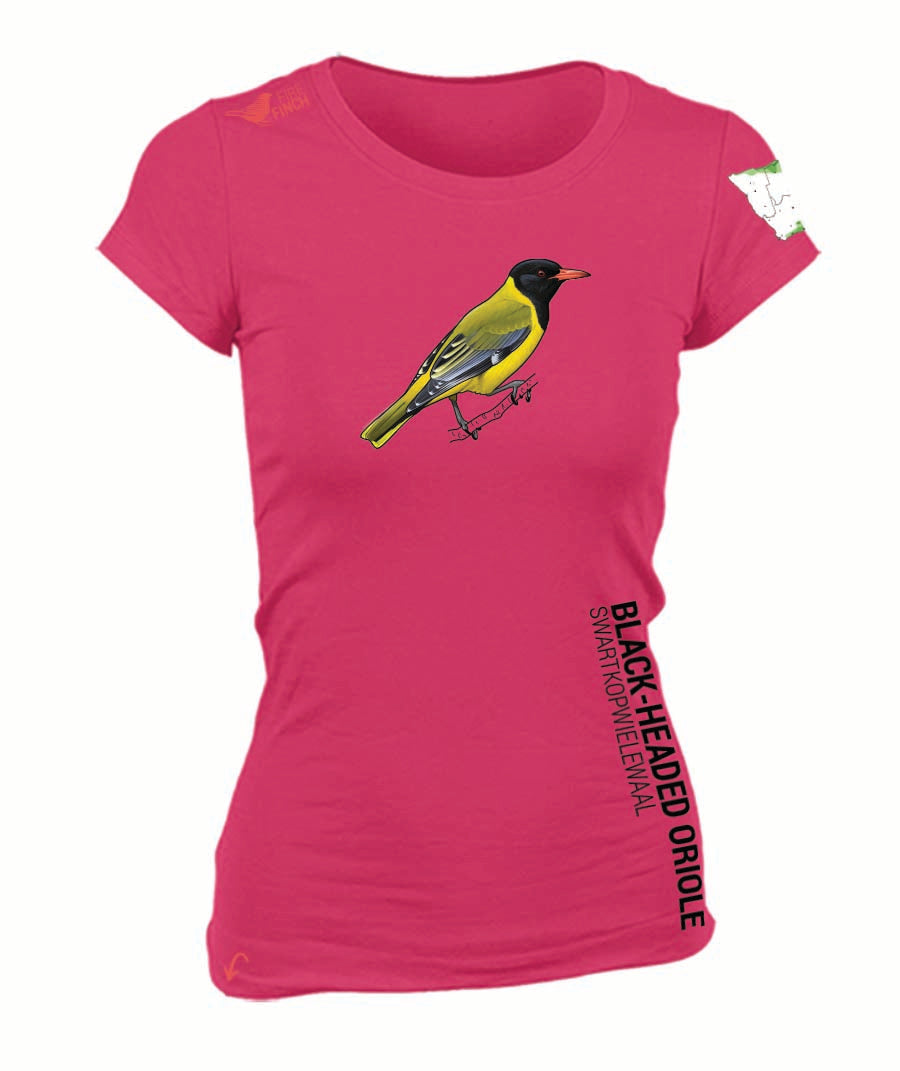 Black-headed Oriole Ladies Shirt