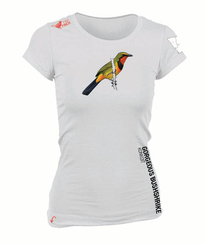 Gorgeous Bushshrike Ladies Shirt