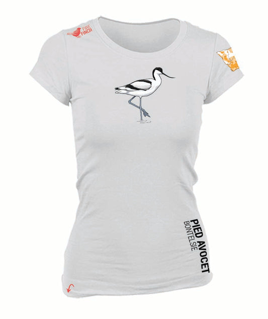 Pied Avocet Ladies Shirt