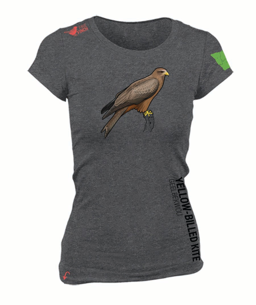 Yellow-Billed Kite Ladies Shirt